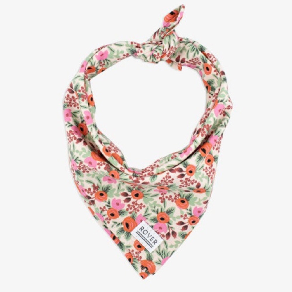 NWT Rosa Small Blush Floral Dog Bandana